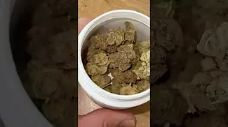 French Cookies T22 by Grow Pharma initial reaction