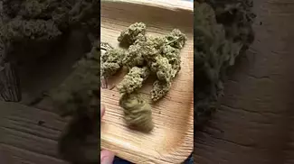 Legal medical Fruity pebbles Kush- medicus 27%thc 1%cbd #medicated #ukmedicine #medicus #menshealth