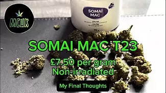 SOMAI MAC T23 Miracle Alien Cookies