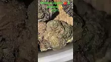 Vinnie's Lounge Video Thumbnail