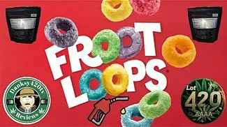 Fruitloops Fuel By AAAA Review