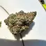 Patient Image of Aurora® Pedanios FRG T27 Farm Gas Medical Cannabis