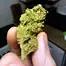 Patient Image of Noidecs T20 Murray Sherbet Medical Cannabis