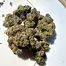 Patient Image of Aurora® Pedanios FRG T27 Farm Gas Medical Cannabis