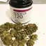 Patient Image of Noidecs T20 Murray Sherbet Medical Cannabis