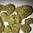 Patient Image of Noidecs T20 Murray Sherbet Medical Cannabis