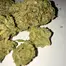 Patient Image of Noidecs T20 Murray Sherbet Medical Cannabis