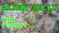 Video Thumbnail: Smacksalad