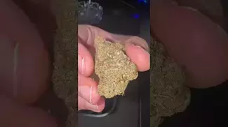 Click here to see the flower!!!