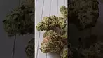 Big Narstie Medical - Glitter Bomb !! (UK Medical Cannabis Prescription)