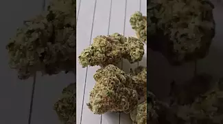Big Narstie Medical - Glitter Bomb !! (UK Medical Cannabis Prescription)