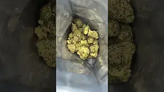 Gas Cream Cake by Scoops (Smalls)