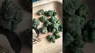 Legal medical prescription. Big narstie medical papaya bantz 10g