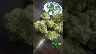 What we saying on this one ? BC Green - Apples & Gas, non irradiated 27% indica hybrid