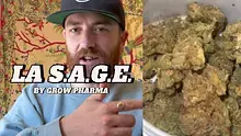 High Jack Video Thumbnail