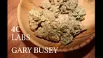 Gary Busey | 4C Labs | UK Medical Cannabis Review