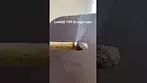Lot420 T29 Orange cake burn