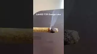 Lot420 T29 Orange cake burn