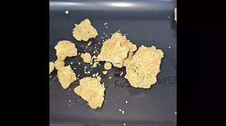 Kasa Verde Gazzurple