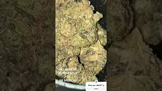 Big Narstie Purple Milk T26 | Prescribed Medical Cannabis UK #Cannamacist #MedicalCannabisUK
