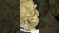 Video Thumbnail: Cannamacist