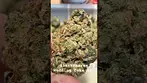 GlassPharms Wedding Cake
