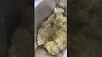 Lot420 garlic zkittles| Gmo cookies x zkittles   #foryou #medicalcannabis #legal