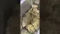Video Thumbnail: UK Medical