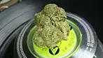 SOURDOUGH BY AURORA, UK MEDICAL FLOWER
