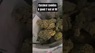 CURALEAF ZOOKIES 26% THC