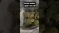 Video Thumbnail: THE DAILY NUGZ