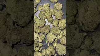 Found Wedding Pop Triangle!  | Medical Cannabis UK Unboxing