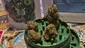 Video Thumbnail: Keep Blazing Stay Amazing