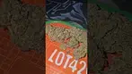 Green Karat Trillianz UK Medical Flower First impressions