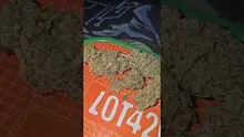 Eazypax420 Video Thumbnail
