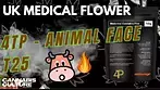 UK MEDICAL FLOWER | 4TP | ANIMAL FACE | T25 | AFC