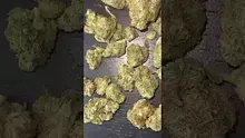 CheeseMon4 Video Thumbnail