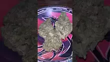 Smokey Mo Video Thumbnail