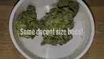 Wedding Pop Triangle by CuraLeaf Labs - Strain Review #04