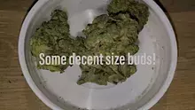 BabyzBudz Video Thumbnail