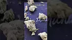 Four20 Pharma Black Cherry Punch (meedy) T22 #medicalcannabis #ukmedicalcannabis