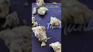 Four20 Pharma Black Cherry Punch (meedy) T22 #medicalcannabis #ukmedicalcannabis