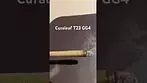 Curaleaf T23 GG4 burn