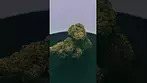 Aurora Pedanios - Cosmic Cream #ukmedicalcannabis #cannabiseducation #medicalcannabis