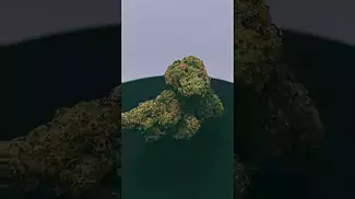 Aurora Pedanios - Cosmic Cream #ukmedicalcannabis #cannabiseducation #medicalcannabis