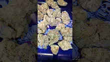 PrescribedBouquet Video Thumbnail