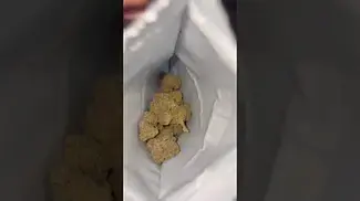 Purple Punch Medical strain by Mamedica. Medz Cannabis first look 25% #mamedica #medical