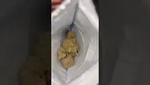 Medicated Barber Friend Video Thumbnail
