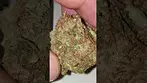 Noidecs T22 sour kush legal UK cannabis review