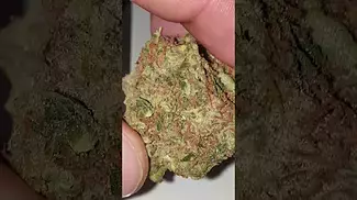 Noidecs T22 sour kush legal UK cannabis review